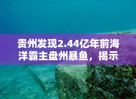 貴州發(fā)現(xiàn)2.44億年前海洋霸主盤州暴魚，揭示遠古海洋生態(tài)奇觀