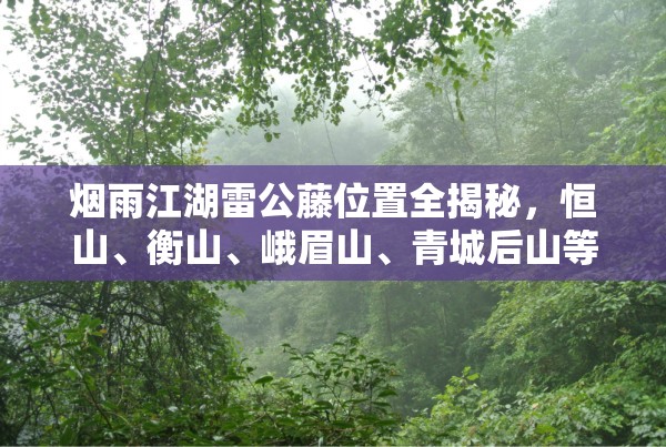 煙雨江湖雷公藤位置全揭秘，恒山、衡山、峨眉山、青城后山等地采集指南