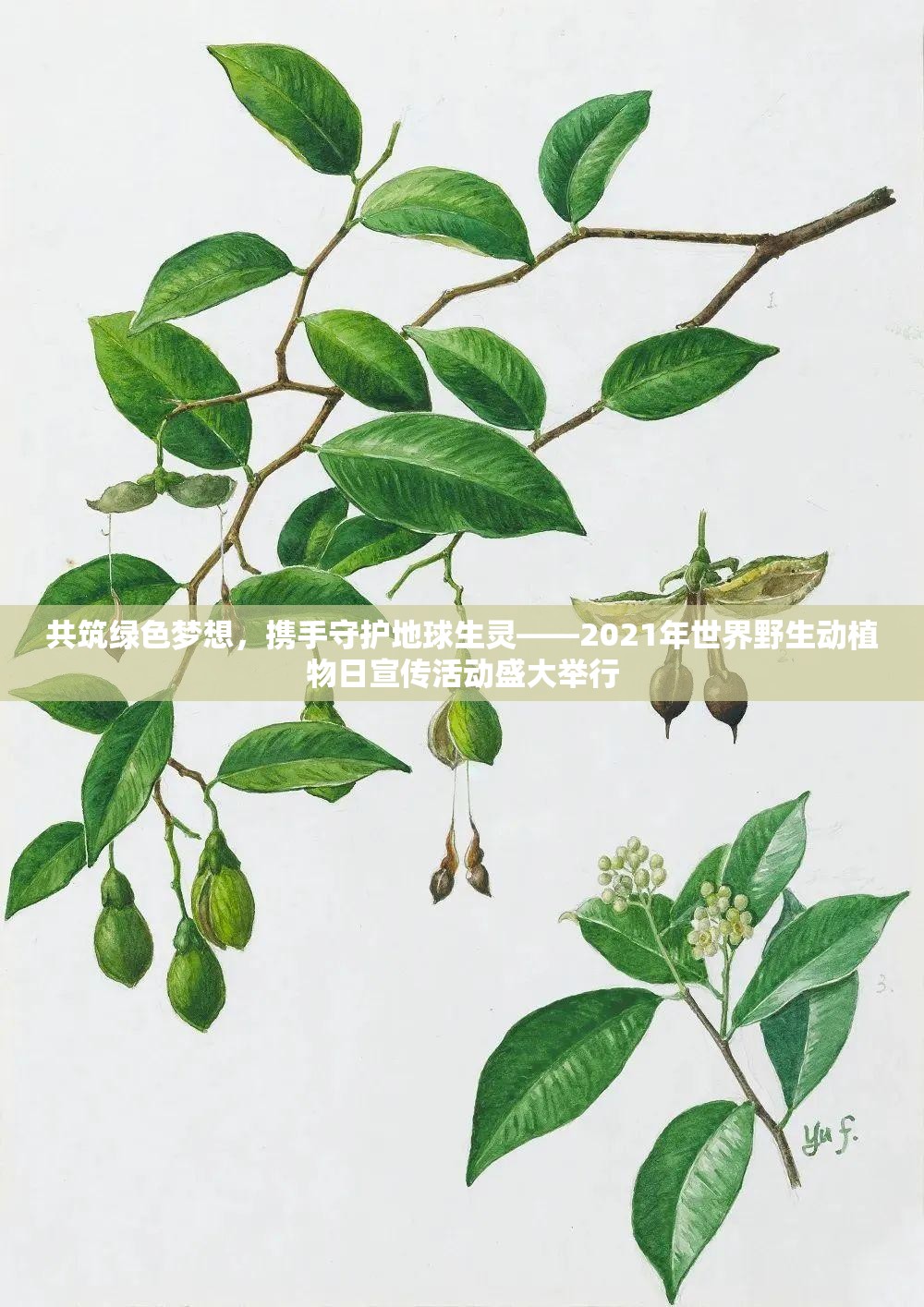 共筑綠色夢想，攜手守護(hù)地球生靈——2021年世界野生動(dòng)植物日宣傳活動(dòng)盛大舉行