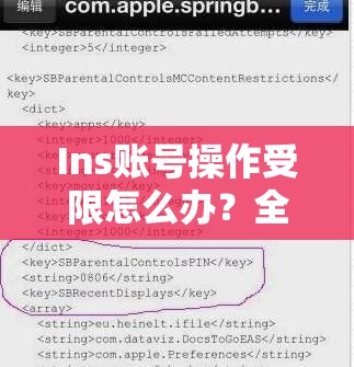 Ins賬號操作受限怎么辦？全面解封秘籍與實用技巧大公開！