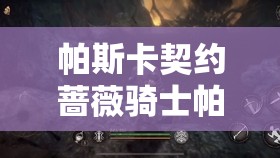 帕斯卡契約薔薇騎士帕特里克高效打法技巧與全面攻略解析