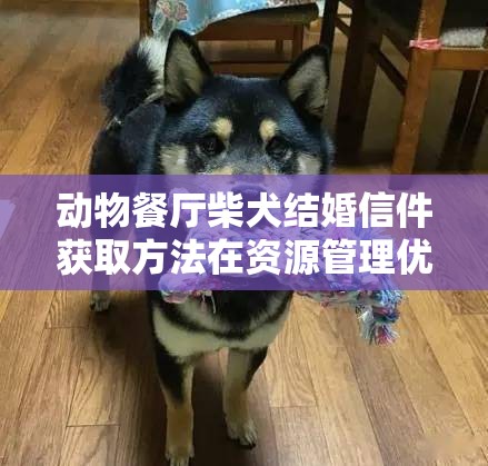 動(dòng)物餐廳柴犬結(jié)婚信件獲取方法在資源管理優(yōu)化與高效利用策略中的關(guān)鍵作用