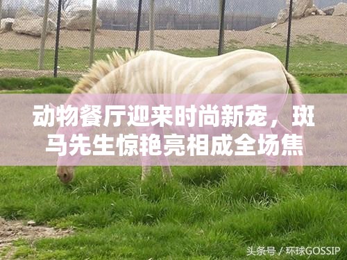 動物餐廳迎來時尚新寵，斑馬先生驚艷亮相成全場焦點