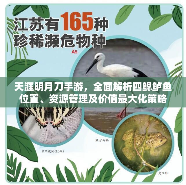 天涯明月刀手游，全面解析四鰓鱸魚位置、資源管理及價(jià)值最大化策略