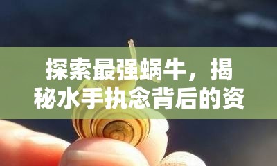 探索最強(qiáng)蝸牛，揭秘水手執(zhí)念背后的資源管理藝術(shù)與策略