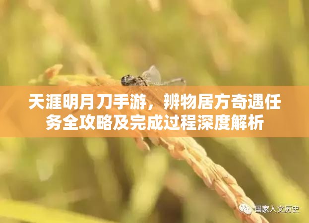 天涯明月刀手游，辨物居方奇遇任務(wù)全攻略及完成過程深度解析