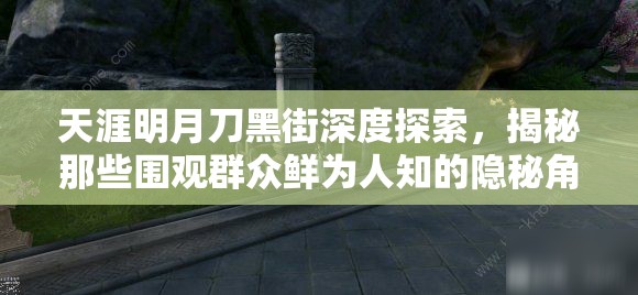 天涯明月刀黑街深度探索，揭秘那些圍觀群眾鮮為人知的隱秘角落