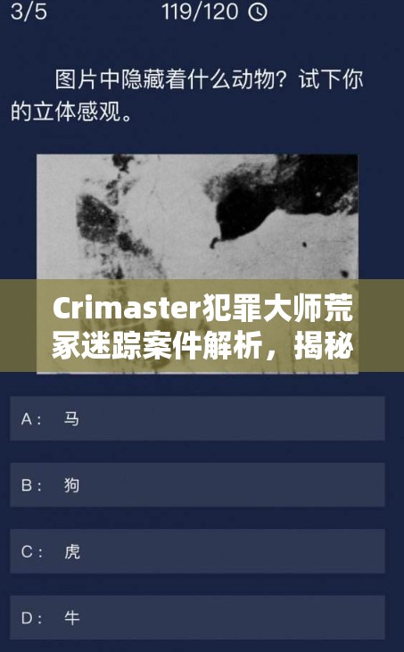 Crimaster犯罪大師荒冢迷蹤案件解析，揭秘資源管理的藝術與答案