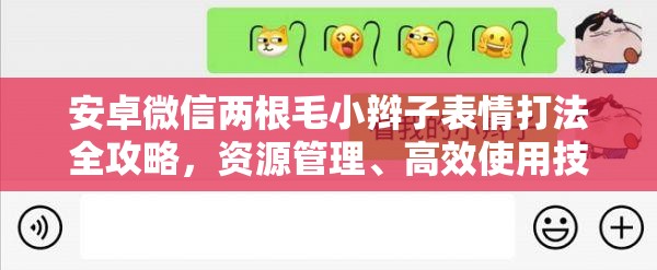 安卓微信兩根毛小辮子表情打法全攻略，資源管理、高效使用技巧及價(jià)值最大化指南