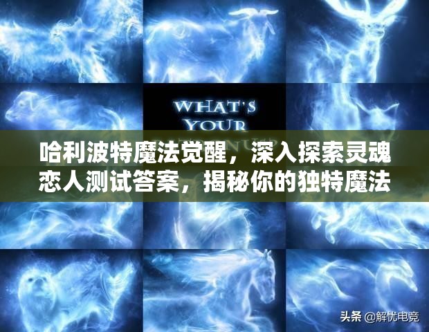 哈利波特魔法覺醒，深入探索靈魂戀人測試答案，揭秘你的獨特魔法情緣歸宿