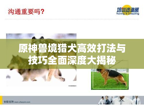 原神獸境獵犬高效打法與技巧全面深度大揭秘