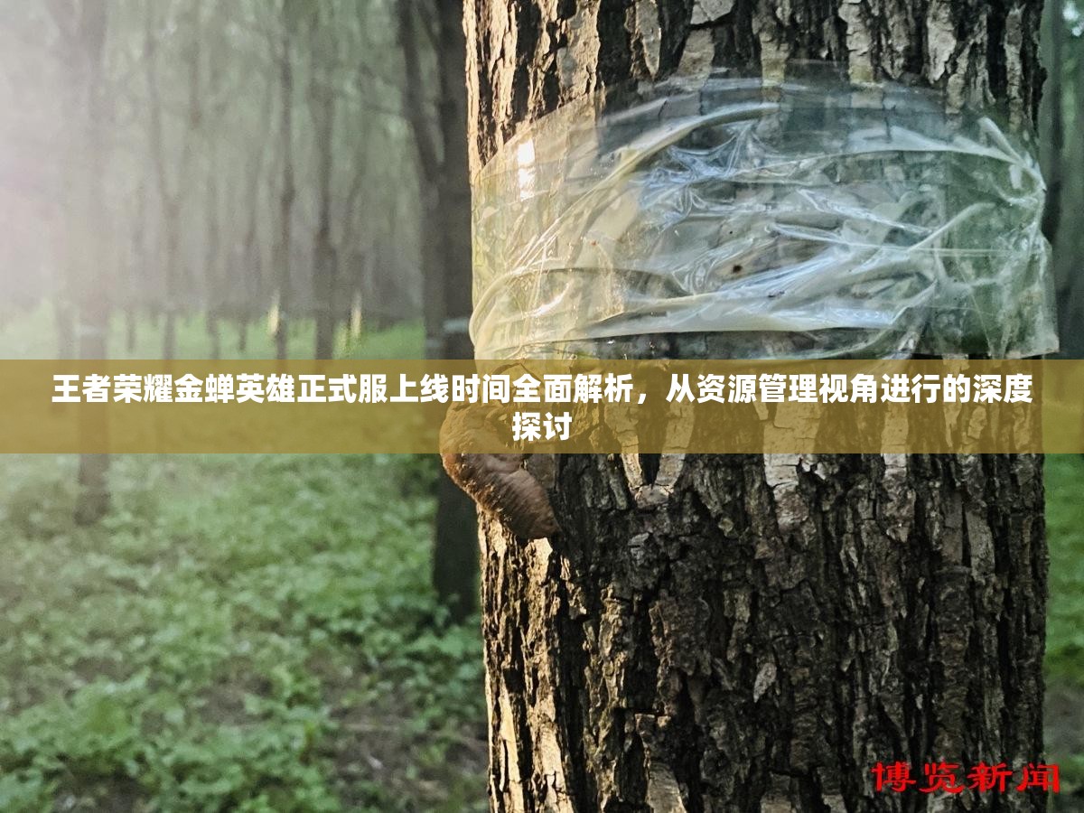 王者榮耀金蟬英雄正式服上線時間全面解析，從資源管理視角進行的深度探討