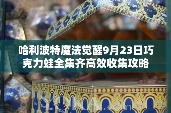 哈利波特魔法覺醒9月23日巧克力蛙全集齊高效收集攻略