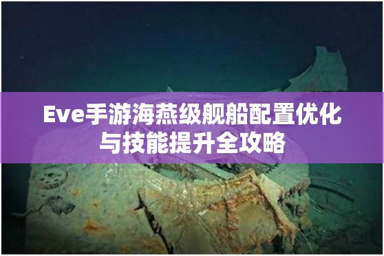 Eve手游海燕級艦船配置優(yōu)化與技能提升全攻略