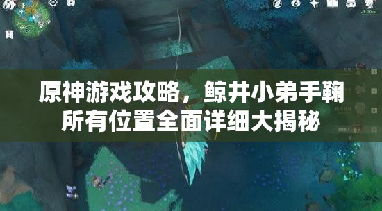 原神游戲攻略，鯨井小弟手鞠所有位置全面詳細大揭秘