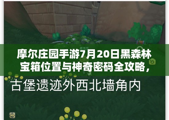 摩爾莊園手游7月20日黑森林寶箱位置與神奇密碼全攻略，掌握資源管理藝術