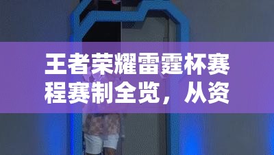 王者榮耀雷霆杯賽程賽制全覽，從資源管理視角進(jìn)行的深度策略解析