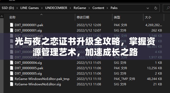 光與夜之戀證書升級(jí)全攻略，掌握資源管理藝術(shù)，加速成長(zhǎng)之路