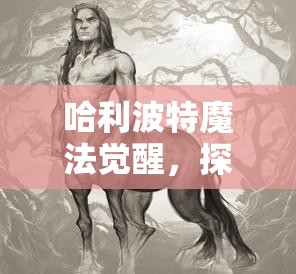 哈利波特魔法覺醒，探索禁林深處的神秘奇遇與驚險挑戰(zhàn)之旅