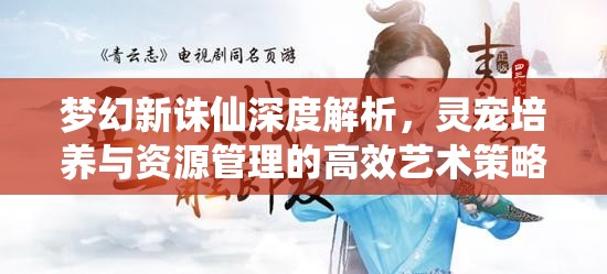 夢(mèng)幻新誅仙深度解析，靈寵培養(yǎng)與資源管理的高效藝術(shù)策略